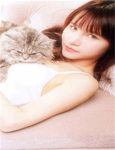 加菲猫 电影